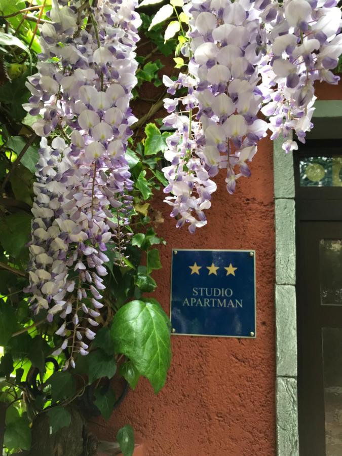 Lavanda โอปาติยา ภายนอก รูปภาพ